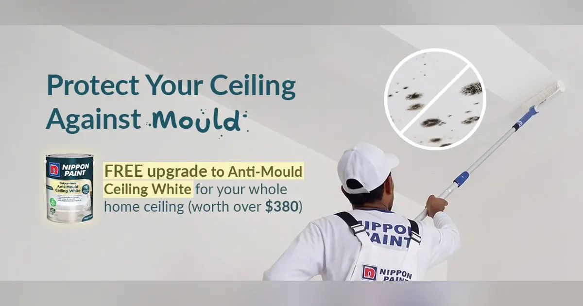 Nippon Paint painter rolling an anti-mould ceiling